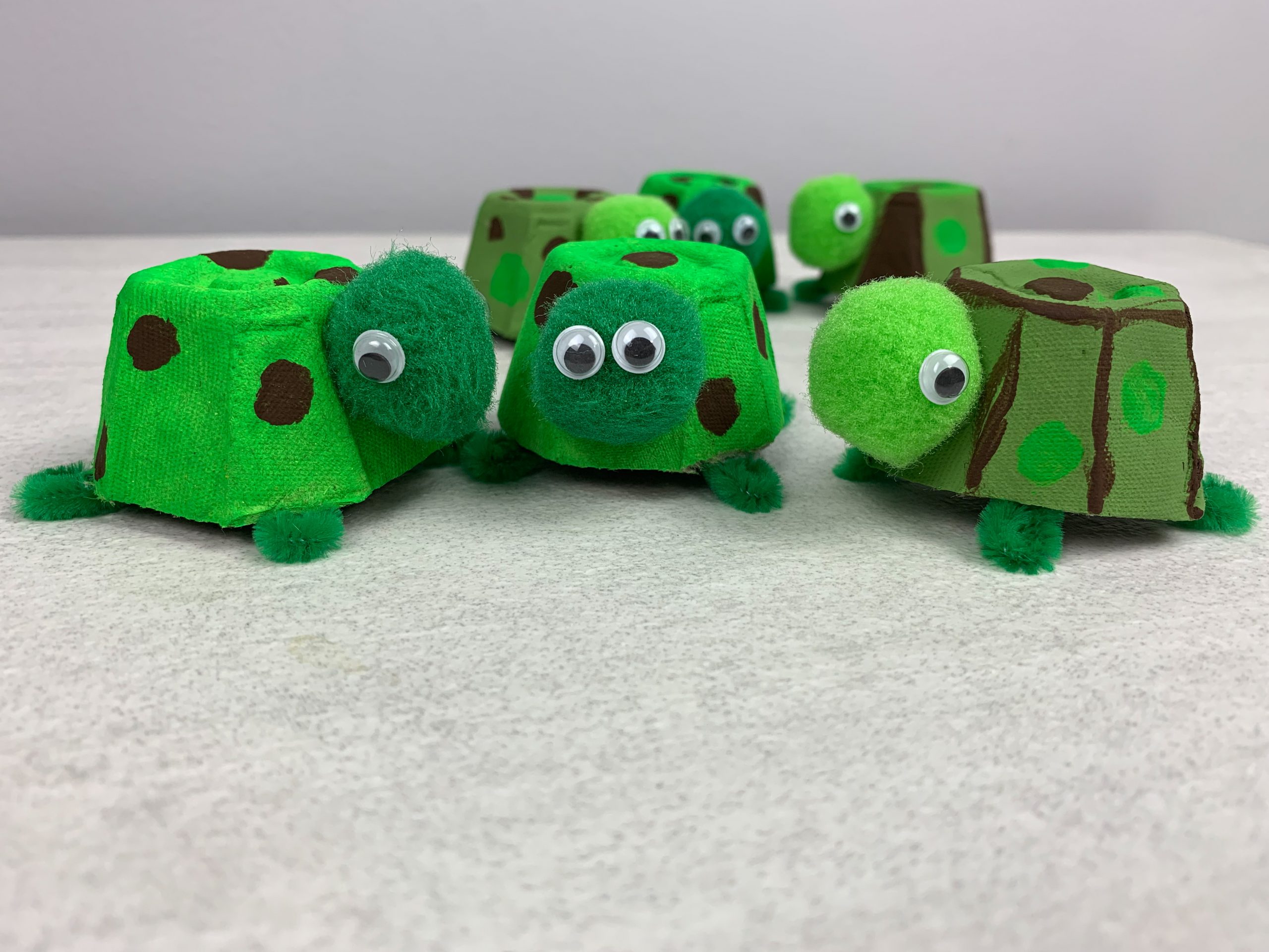 Turtle Egg Carton Preschool Craft